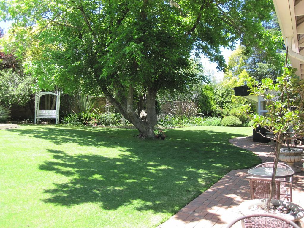 The Pecan Tree Guesthouse Сэндтон Номер фото